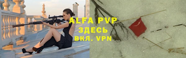 спиды Ладушкин