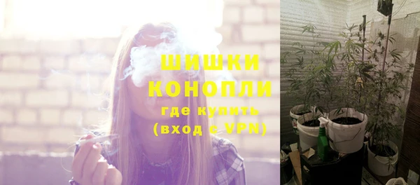 спиды Ладушкин