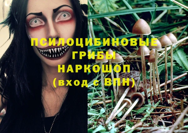 спиды Ладушкин