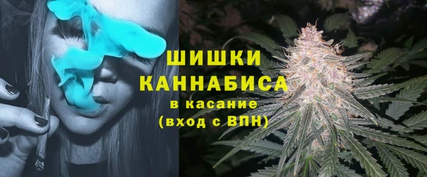 спиды Ладушкин